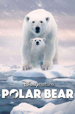 فيلم Polar Bear 2022 مترجم اونلاين