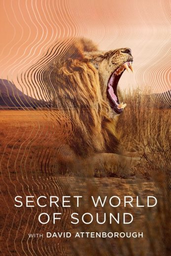 مسلسل Secret World of Sound with David Attenborough الحلقة 2 مترجمة